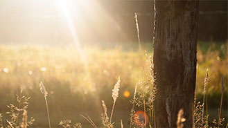 发手机号软件app