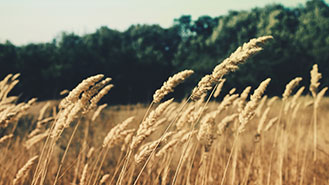 打爆别人电话的软件