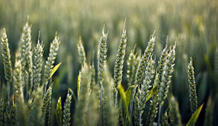 在线电话压力测试