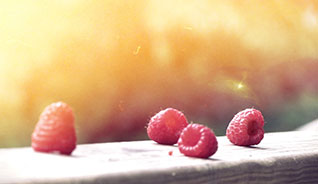 手机号轰炸机网页版